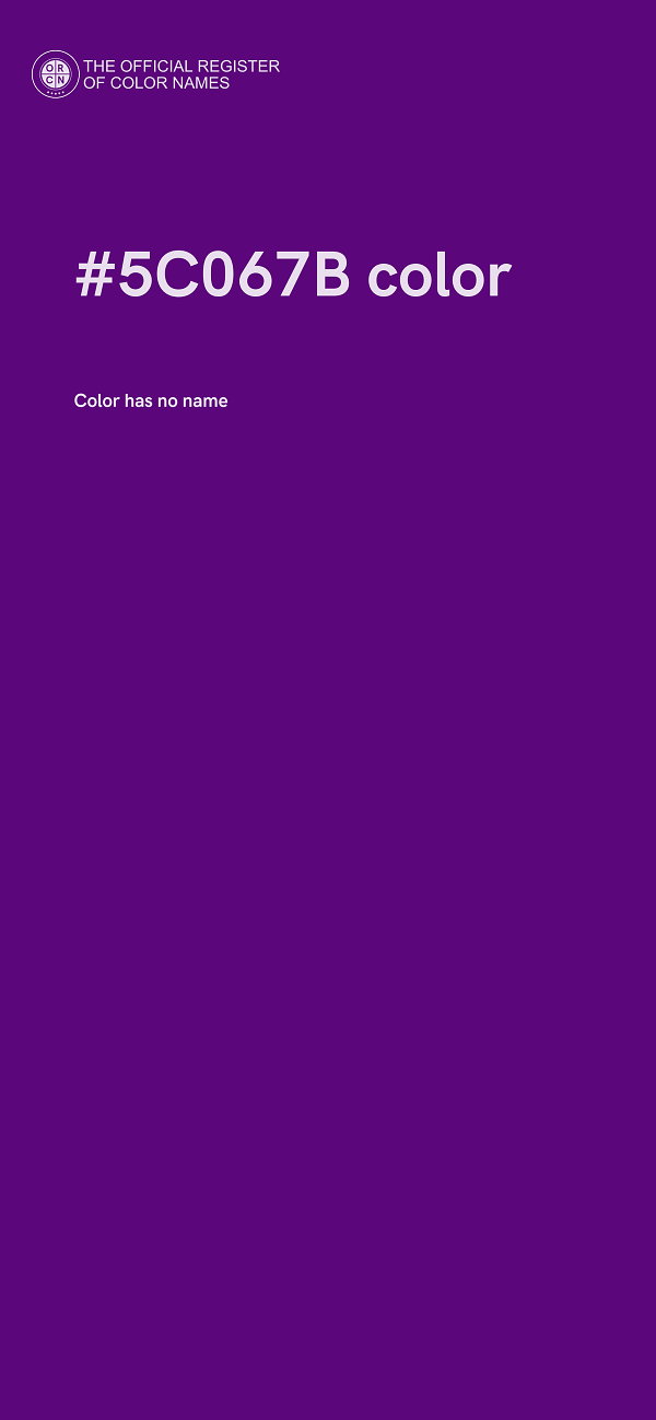 #5C067B color image