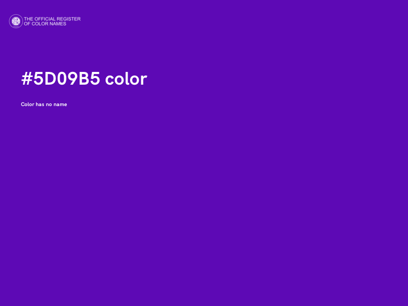 #5D09B5 color image