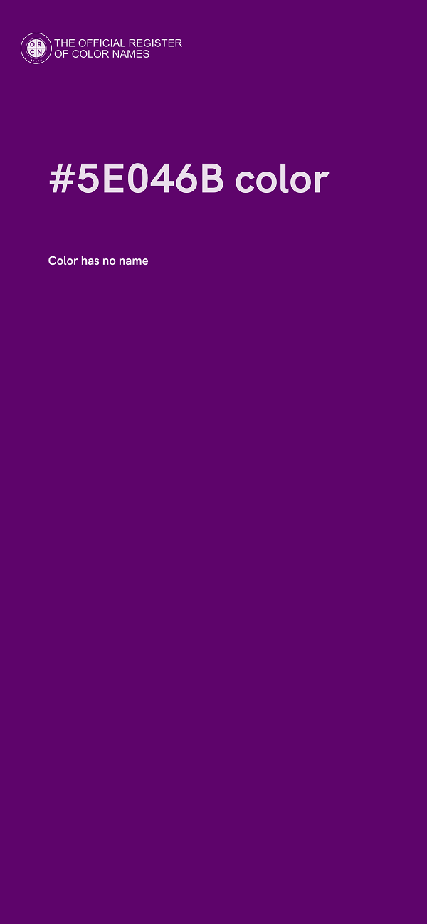 #5E046B color image