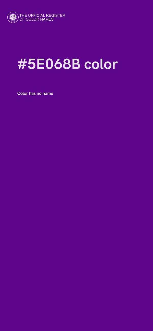 #5E068B color image
