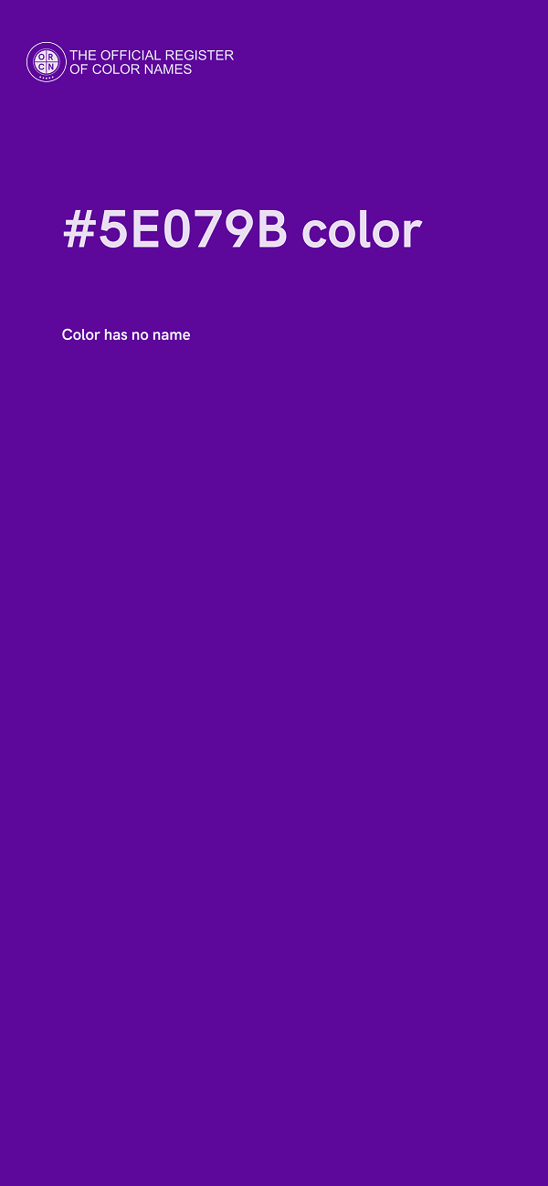 #5E079B color image