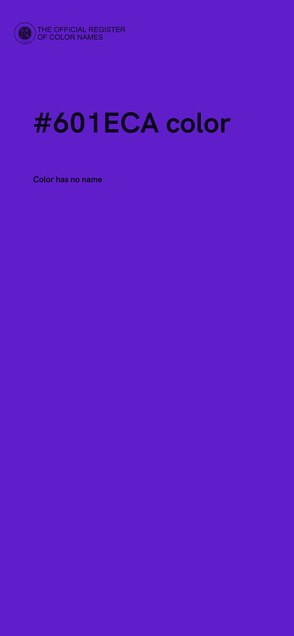 #601ECA color image