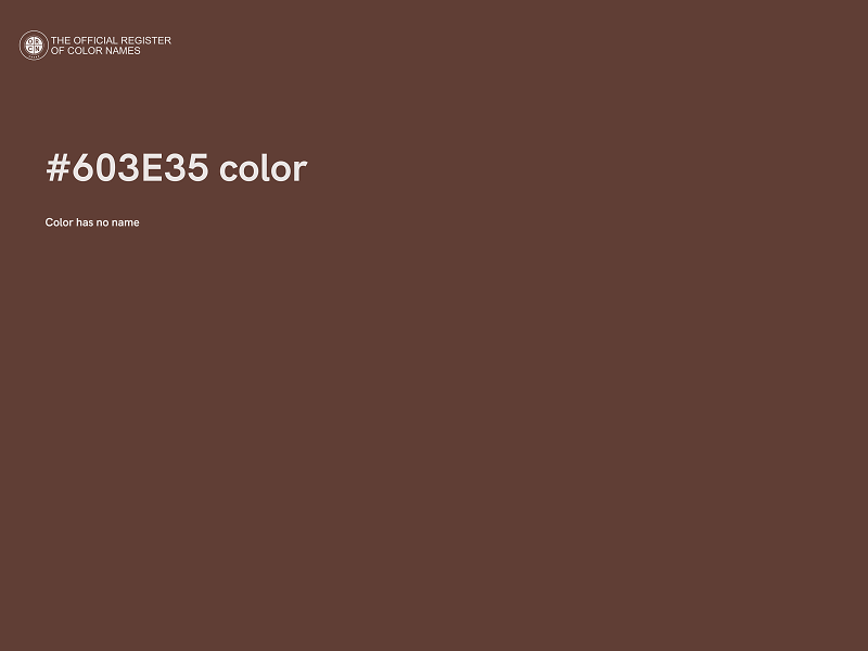 #603E35 color image