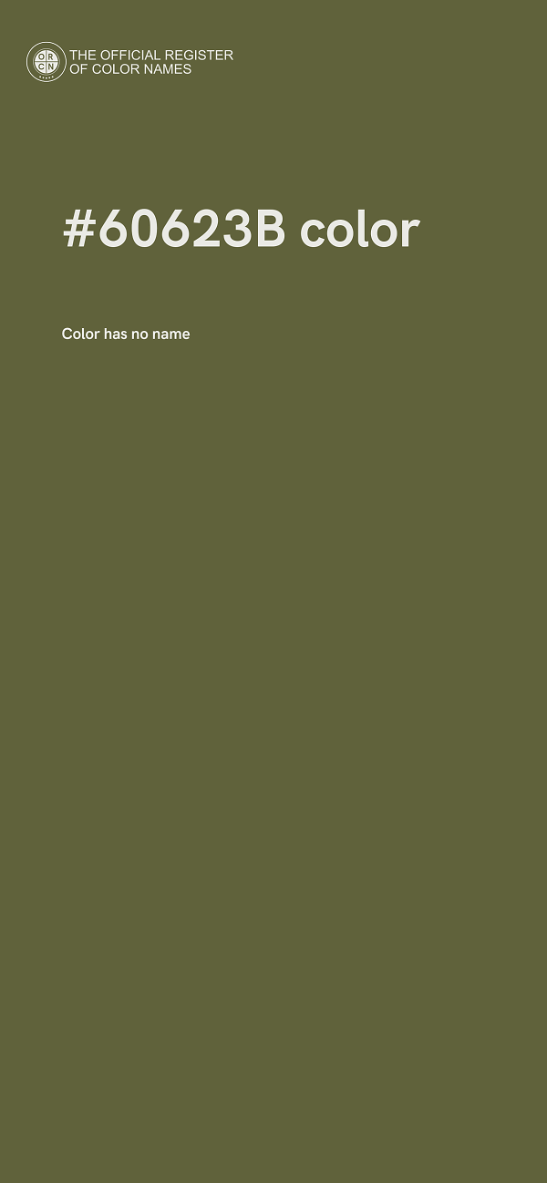 #60623B color image
