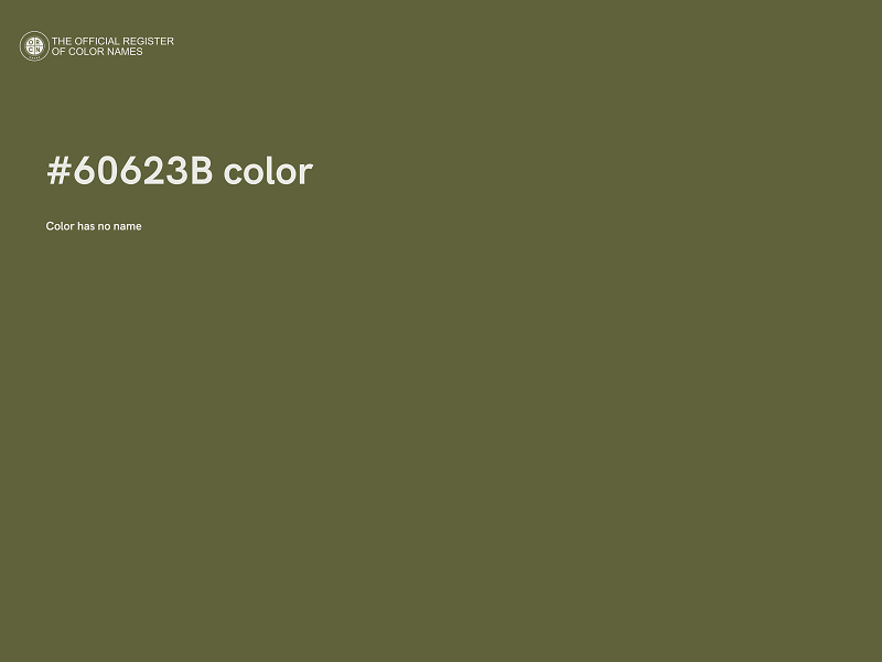 #60623B color image