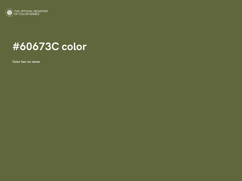 #60673C color image