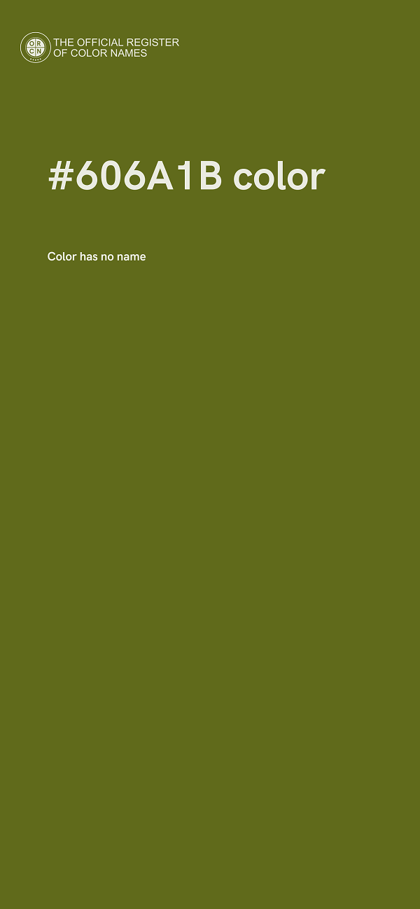 #606A1B color image