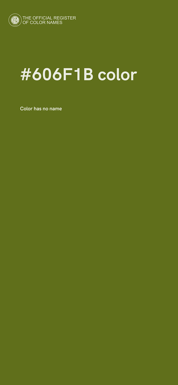 #606F1B color image