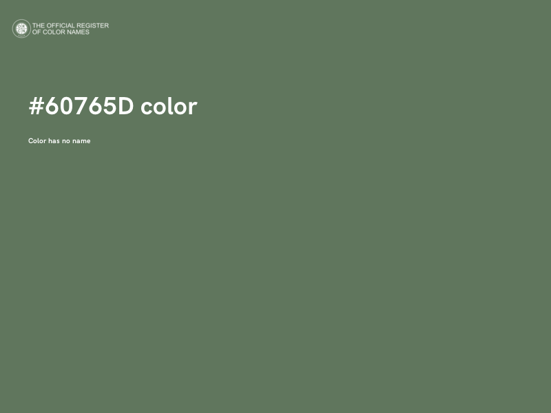 #60765D color image