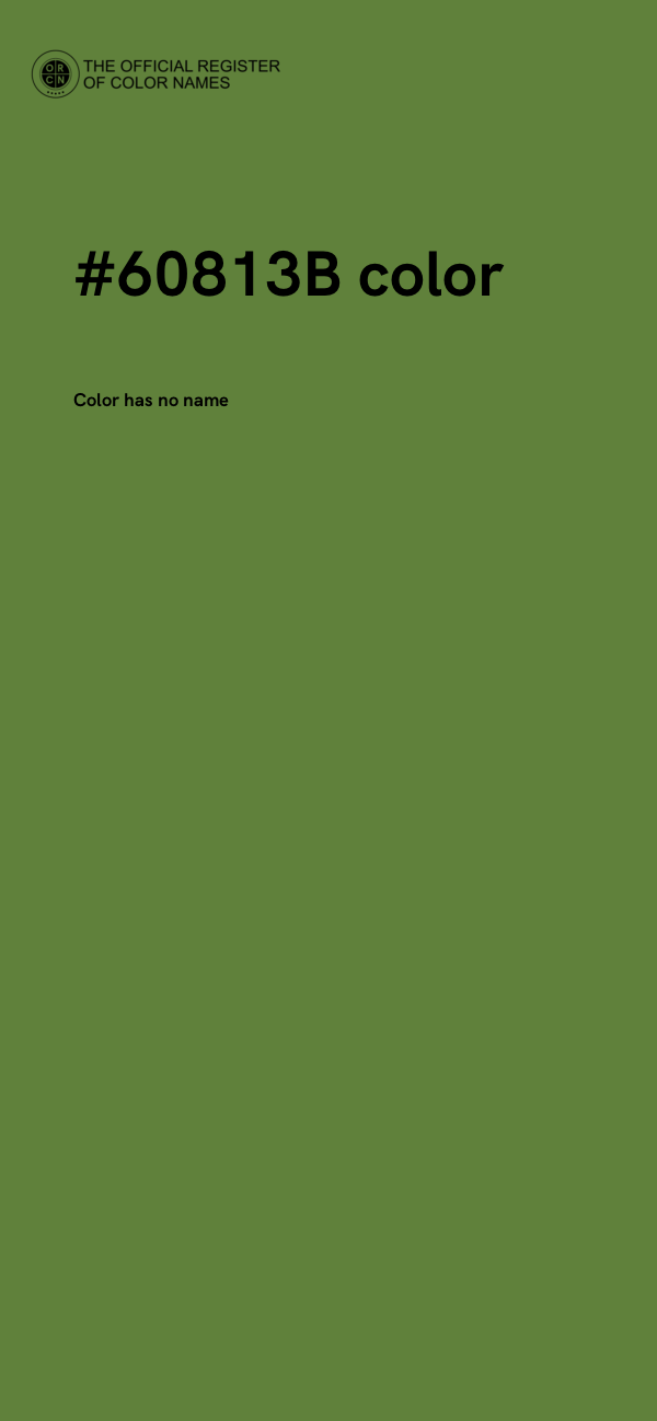 #60813B color image