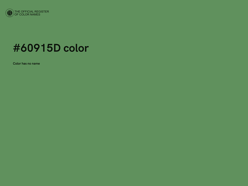 #60915D color image
