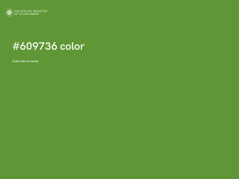 #609736 color image