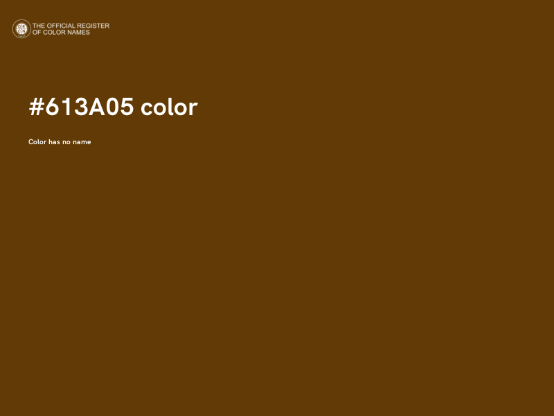 #613A05 color image