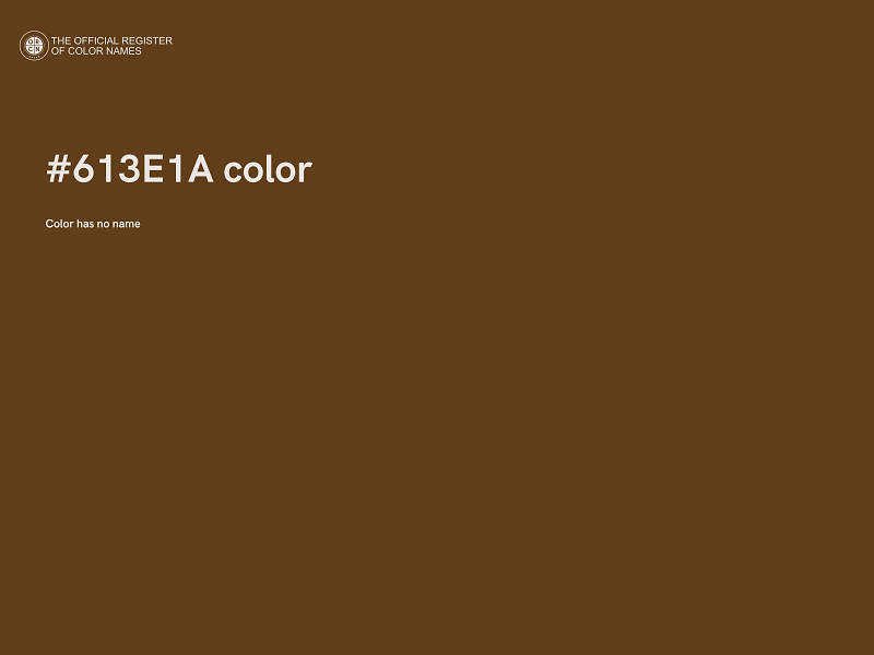 #613E1A color image