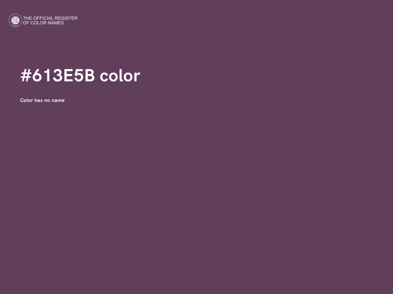 #613E5B color image