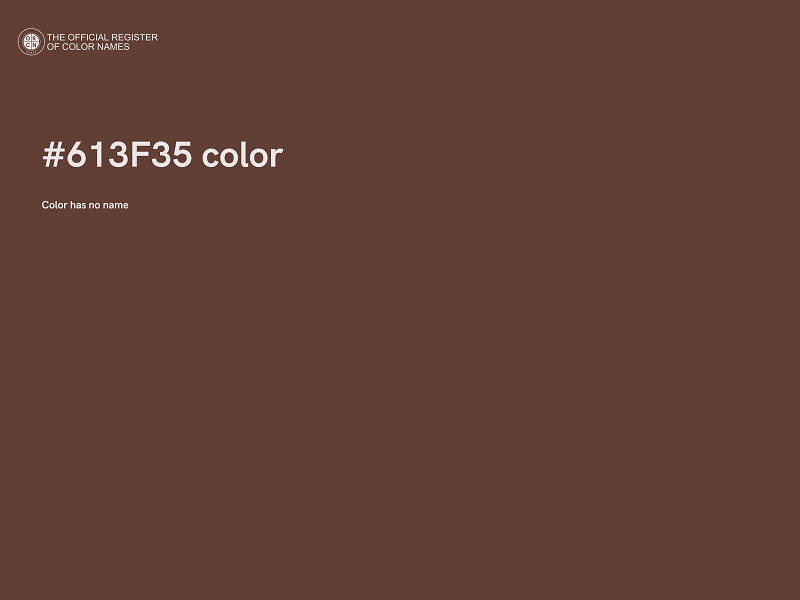 #613F35 color image