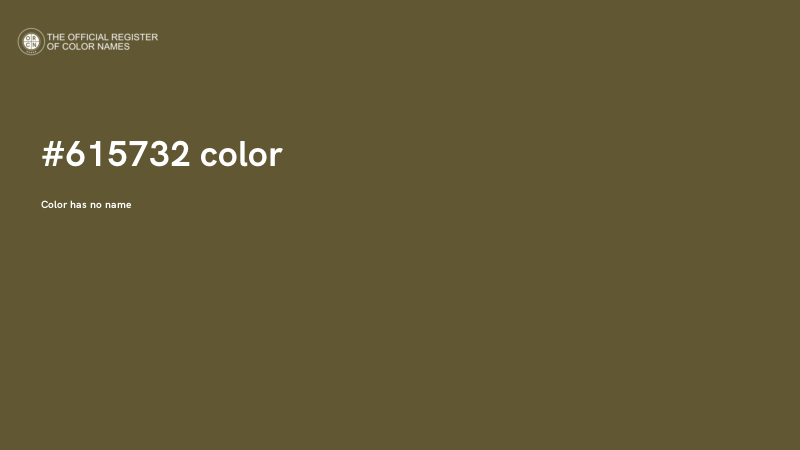 #615732 color image