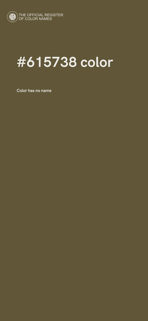 #615738 color image