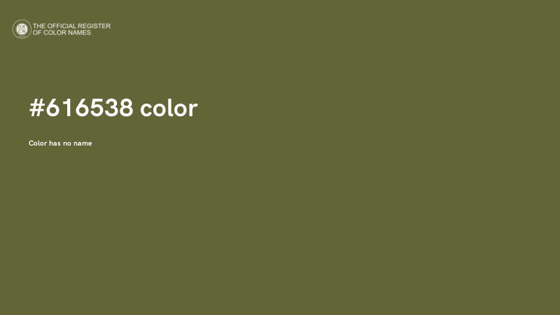 #616538 color image