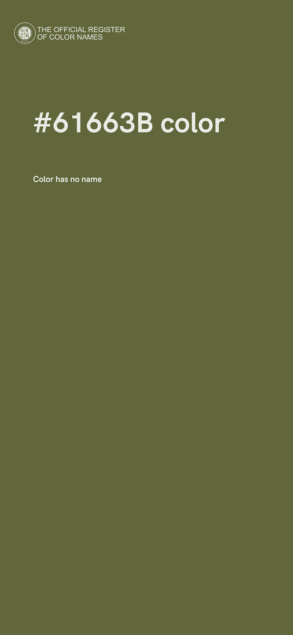 #61663B color image