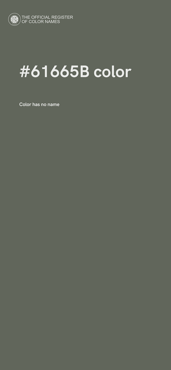 #61665B color image