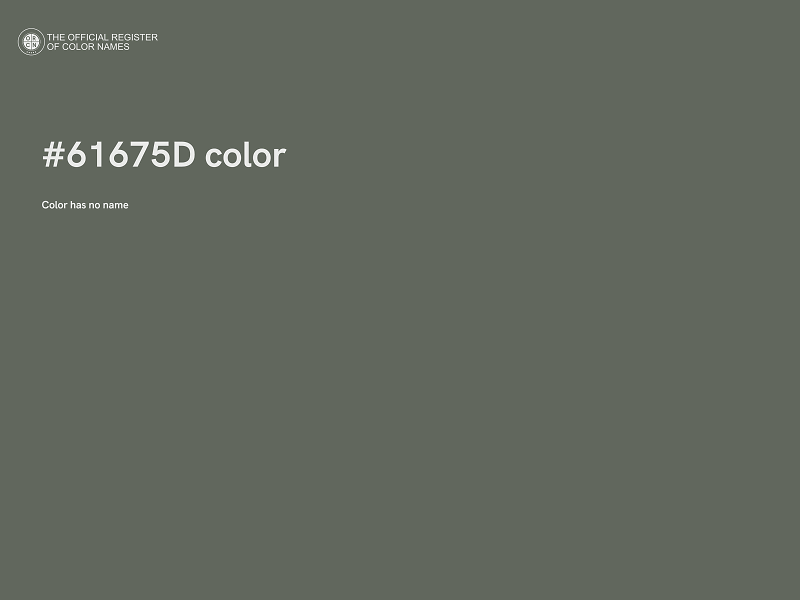 #61675D color image