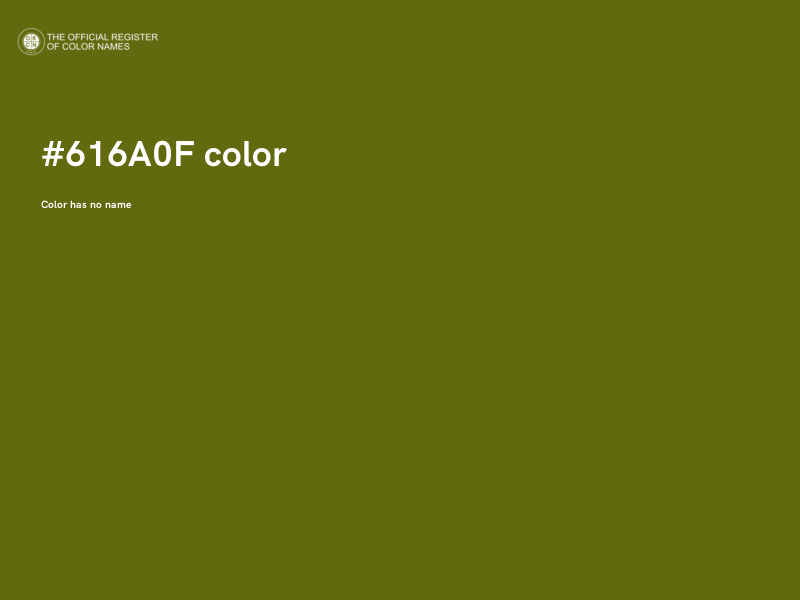 #616A0F color image