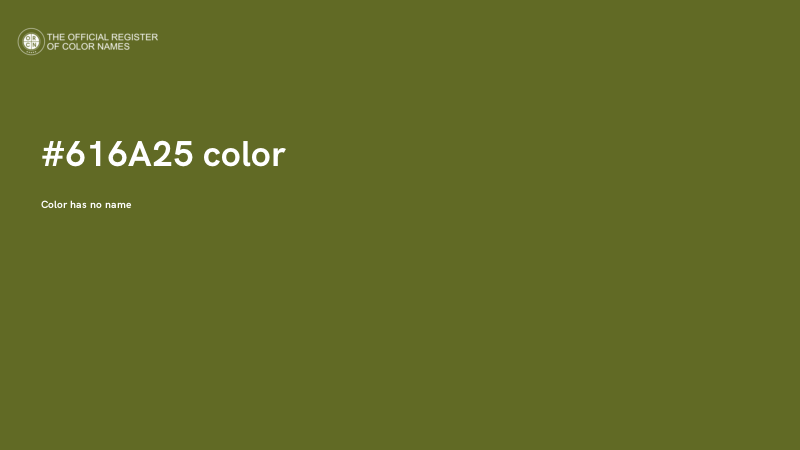 #616A25 color image
