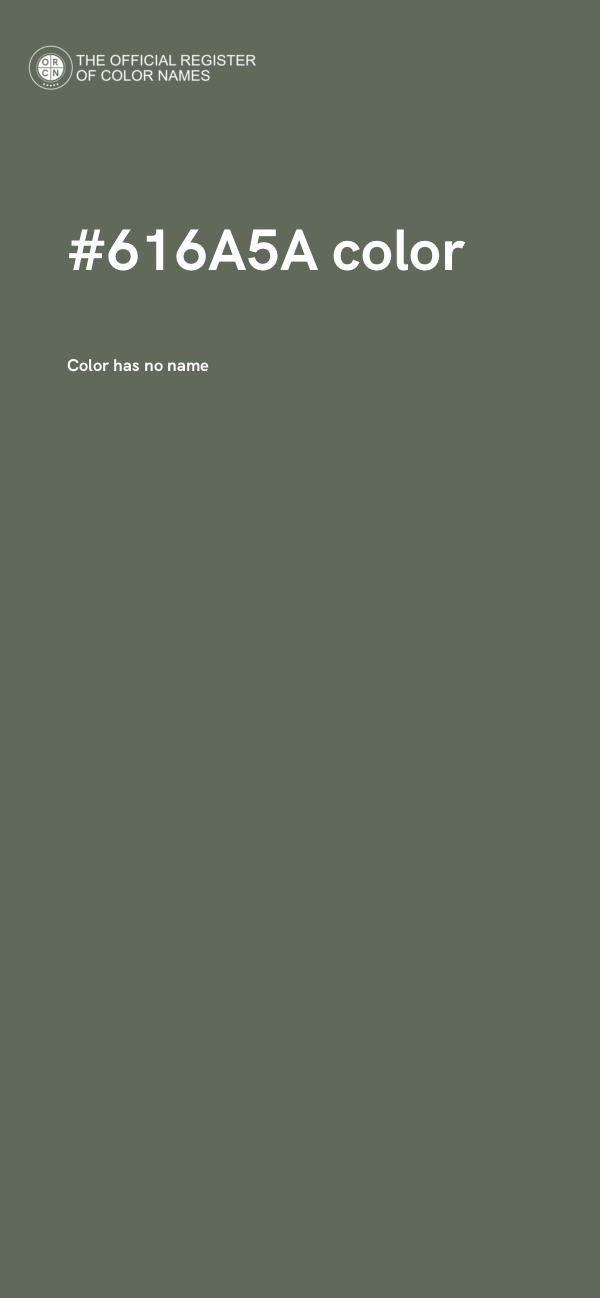 #616A5A color image