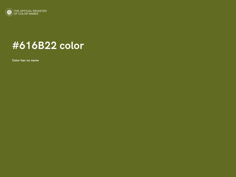 #616B22 color image