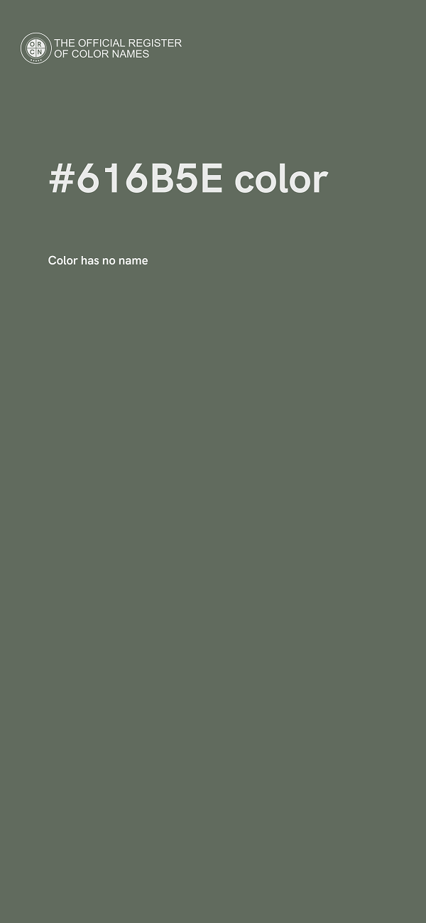 #616B5E color image