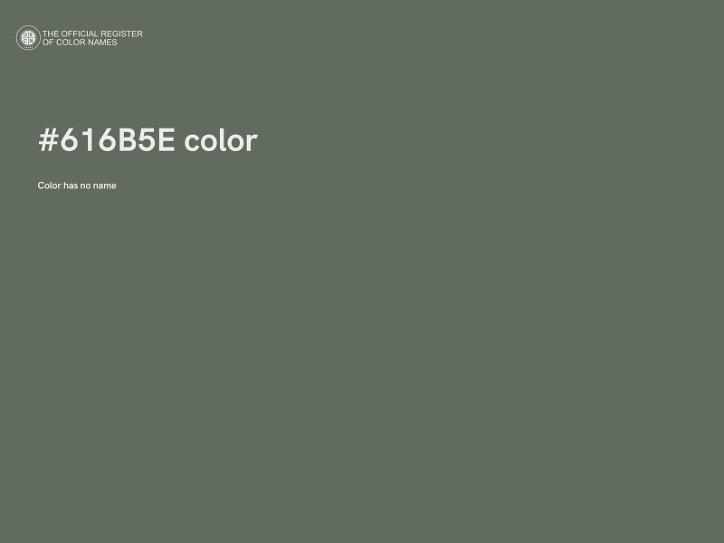#616B5E color image