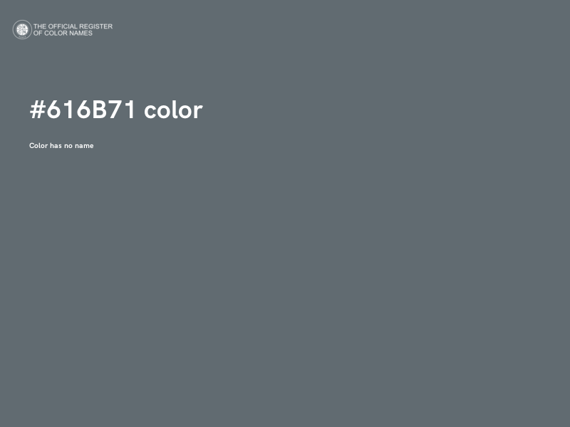 #616B71 color image
