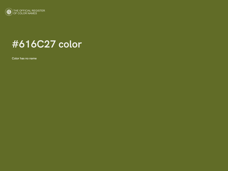 #616C27 color image