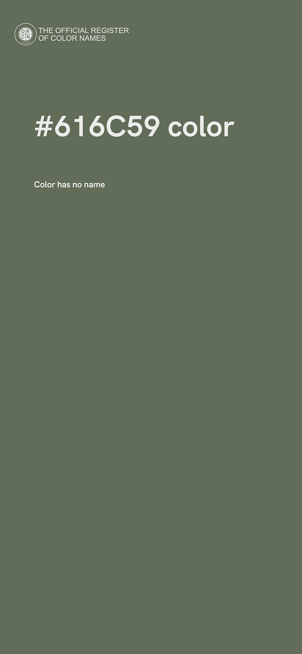 #616C59 color image
