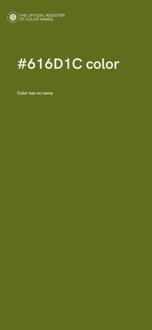 #616D1C color image