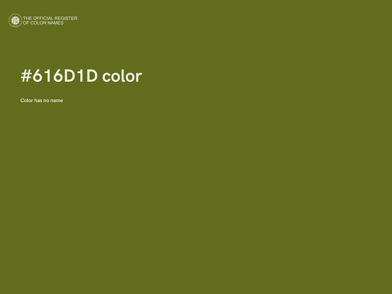 #616D1D color image