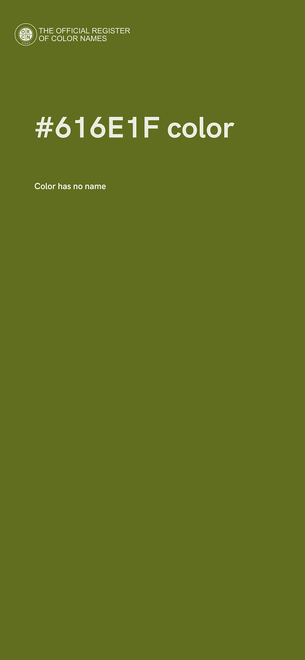 #616E1F color image