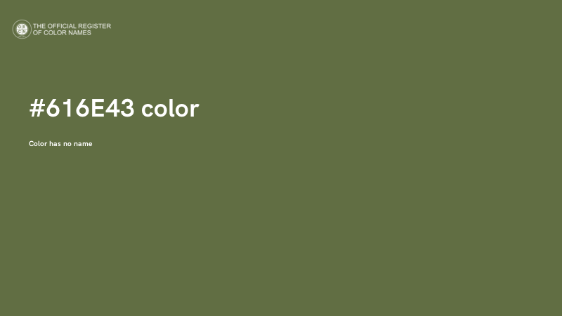 #616E43 color image