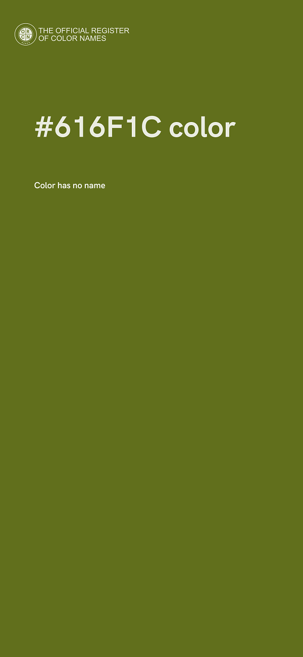 #616F1C color image
