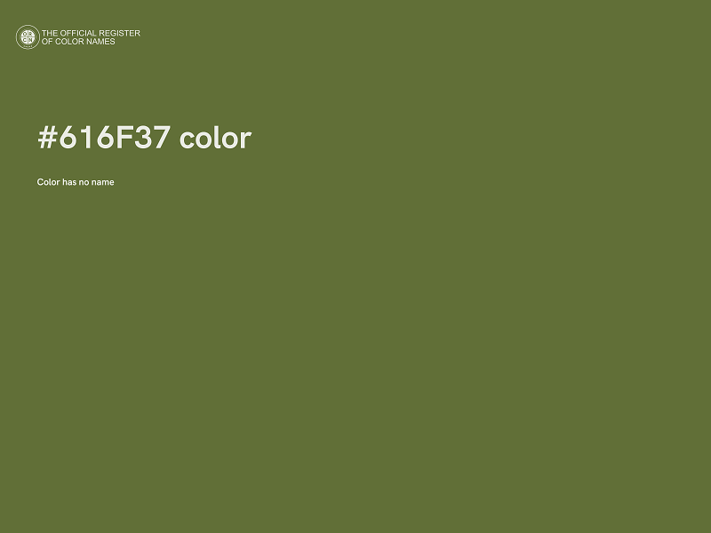 #616F37 color image