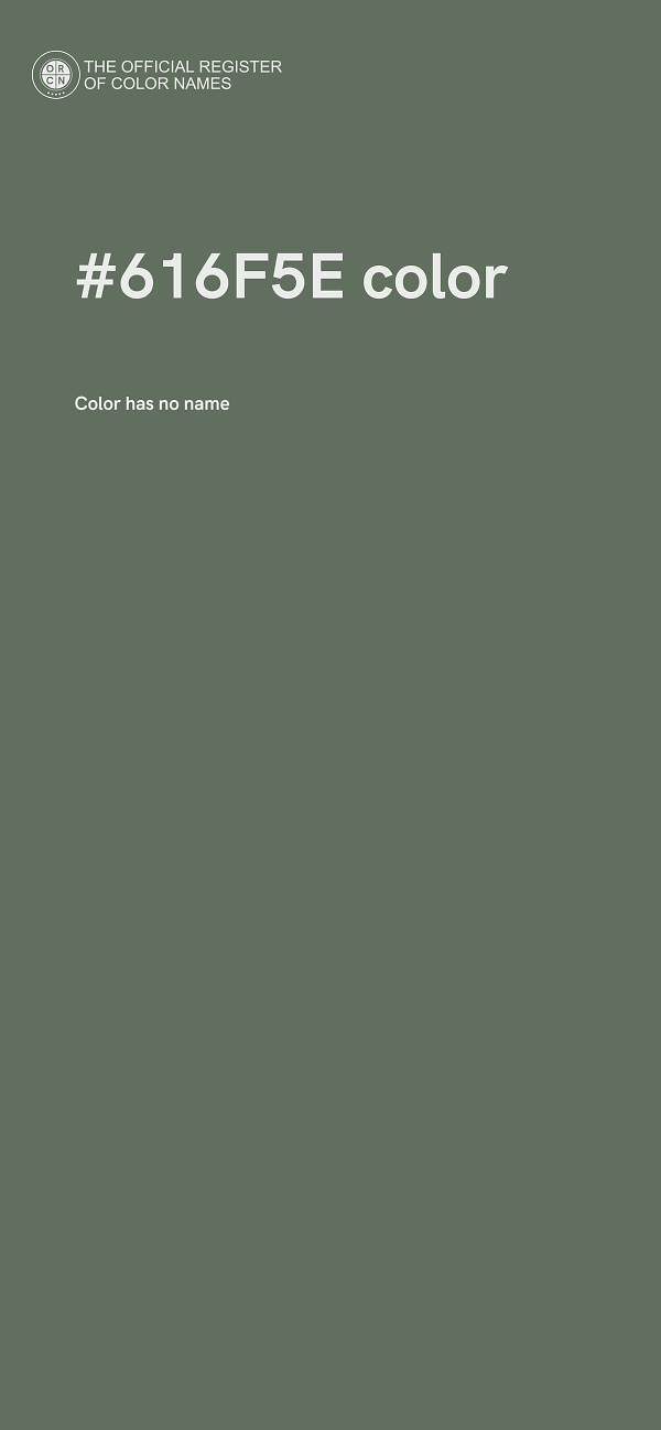 #616F5E color image