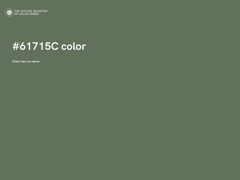 #61715C color image