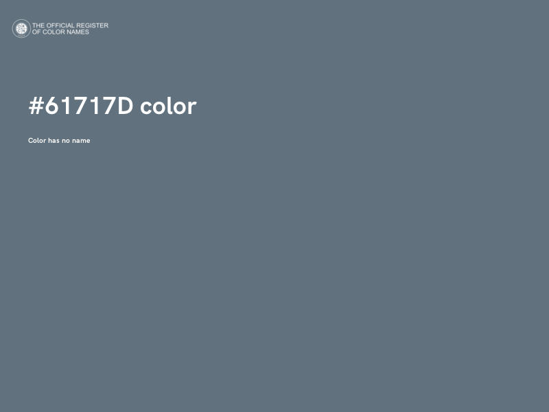 #61717D color image