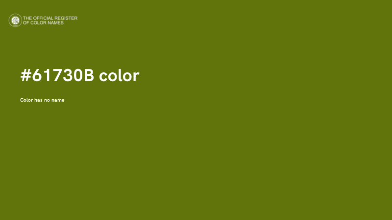 #61730B color image