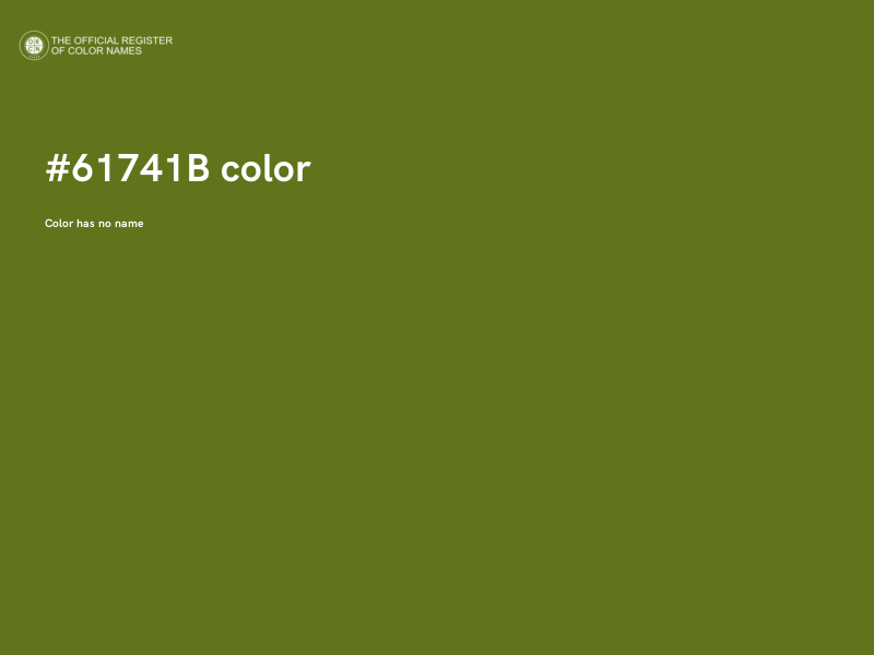 #61741B color image