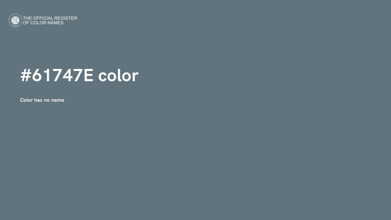 #61747E color image