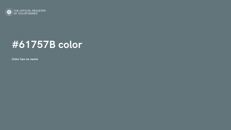 #61757B color image
