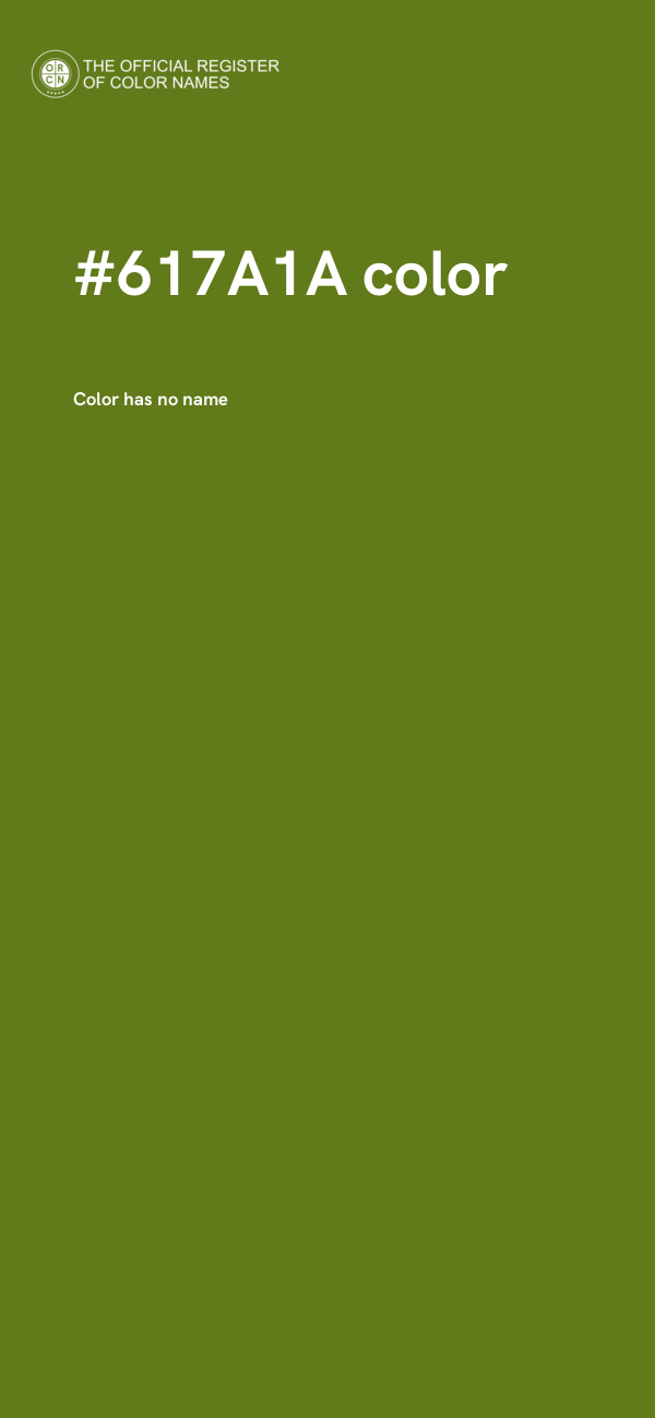 #617A1A color image