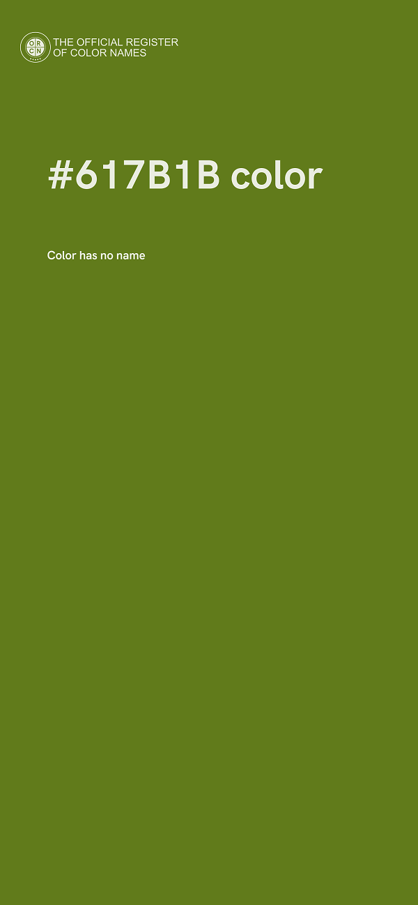 #617B1B color image